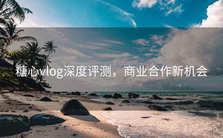 糖心vlog深度评测，商业合作新机会