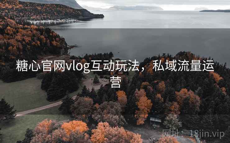 糖心官网vlog互动玩法,私域流量运营 糖心官网vlog互动玩法,私域流量运营